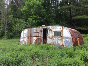 Out to Pasture